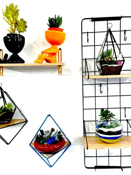 I create and sell unique gift items, including these hanging geometric terrariums and creative planters. They are perfect for corporate gifting or special occasions.