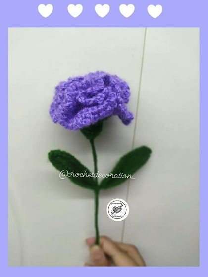 A single stem of a beautiful purple carnation. Carnations are a great choice for adding texture and volume to an arrangement.