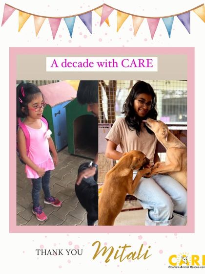 Charlie's Animal Rescue Centre - Community Outreach & Education Community Fundraising Events photo 33