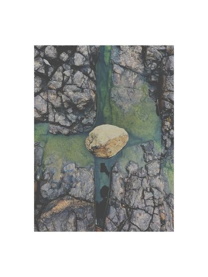 Behind the Lens: The Process & Education photo 16