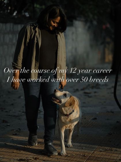 Confident Dogs - Pre-Adoption Counseling My Story & Guiding Principles photo 3