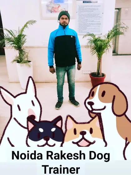 A promotional image I created. I am a professional dog trainer serving the Noida area.