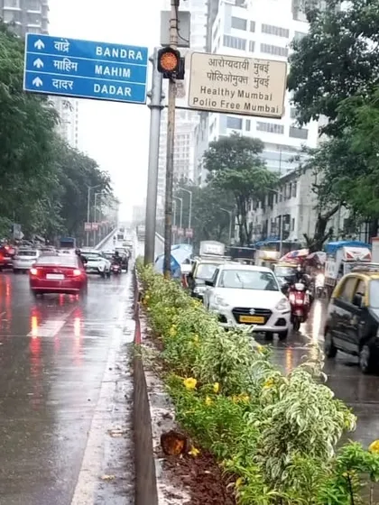 My work extends to public spaces, like this road median beautification project in Mumbai. Even in a busy urban environment, carefully selected flowering plants and shrubs can create a refreshing green corridor that improves the cityscape for everyone.