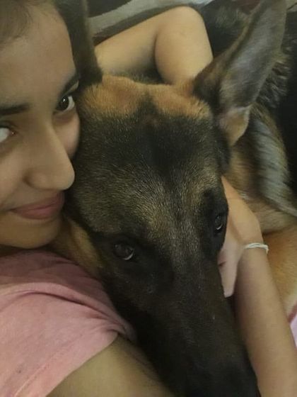 Sometimes he just wants to be a lap dog while we watch TV. These quiet moments of connection are what it's all about.