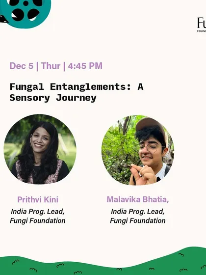 Explore the world of fungi with us. This sensory journey was part of our ALT EFF programming, diving into the fascinating and vital role of fungi in our ecosystem.