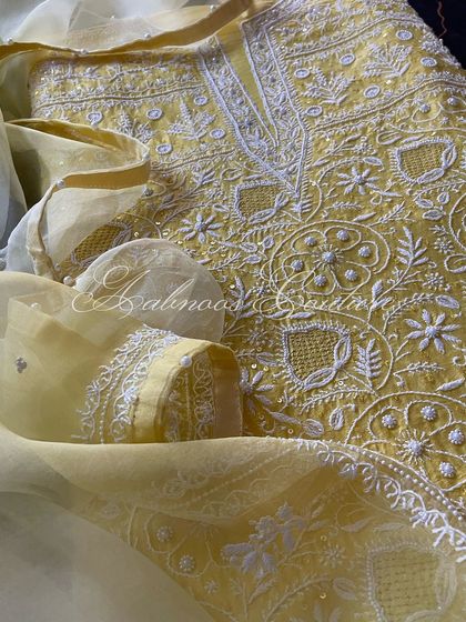 A detail shot of the sleeve and dupatta, showing the coordinated embroidery.