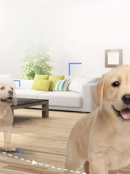 An illustration of the smart tracking feature. The camera automatically follows moving objects, like a pet playing in the living room, ensuring you never miss any activity.