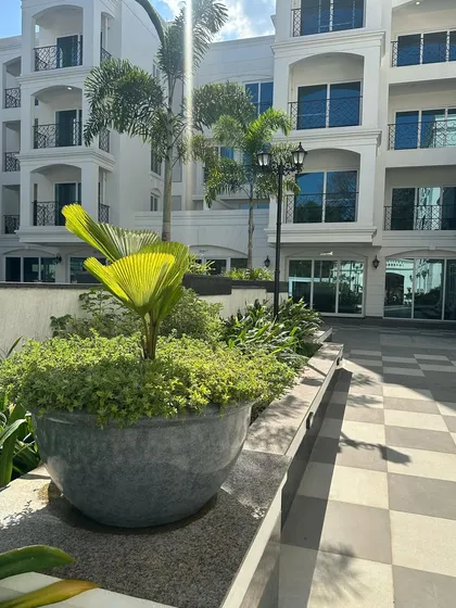 A large planter filled with a fan palm and cascading ground cover, part of the landscape at an apartment complex. This shows how we use different plant forms to create texture and interest.