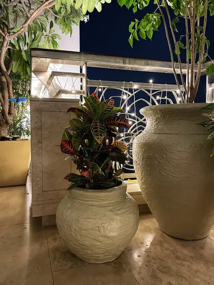 A closer look at the custom-textured fibre pots. The colorful Croton plant adds a beautiful contrast against the white pots and the night sky.
