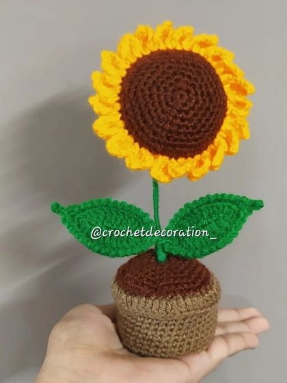 A hand-held view of the large potted sunflower.