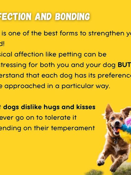 Garima Tomar - Board and Train Programs My Training Philosophy photo 6