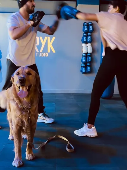 Even our furry friends get in on the action. A happy golden retriever watches a boxing session, adding to the fun community vibe.