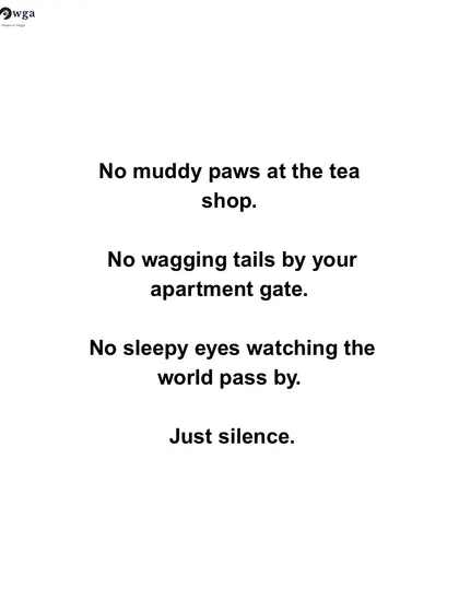 No muddy paws, no wagging tails, just silence. We paint a picture of what we would lose if street dogs disappeared from our neighborhoods.