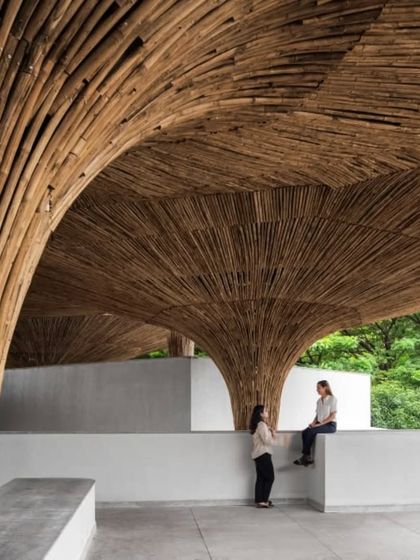 The shared spaces at the TAPMI Centre are defined by the organic forms of the bamboo parasols. These structures create a dialogue between the built environment and the natural landscape, fostering a sense of belonging.