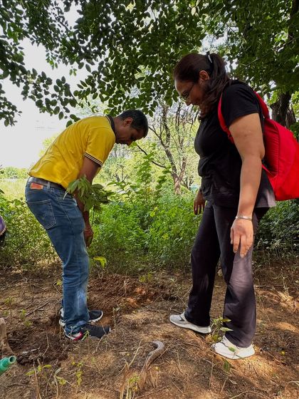 A volunteer from NatWest gets a hands-on lesson in planting from our team. These interactions are crucial for sharing knowledge and building a community of informed environmental stewards.