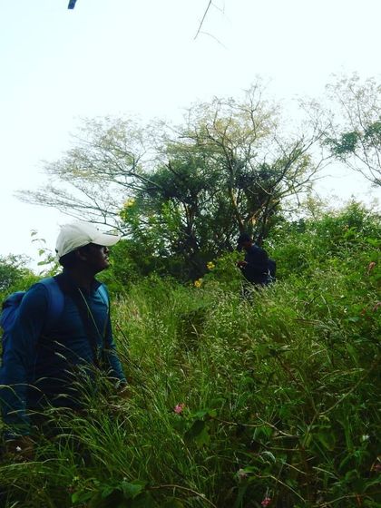 Navigating through tall grass and thick brush. Learning to read the terrain and find the path is a fundamental wilderness skill.