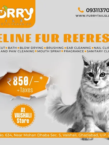 We offer specialized grooming services for our feline friends. Our "Feline Fur Refresh" package is designed to handle everything from haircuts and baths to nail clipping for cats in a calm and safe environment.
