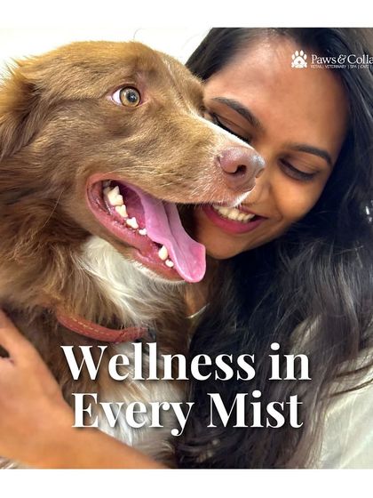 PawsnCollars - Pet Grooming & Spa Ava Naturals: Luxury Pet Cologne photo 11