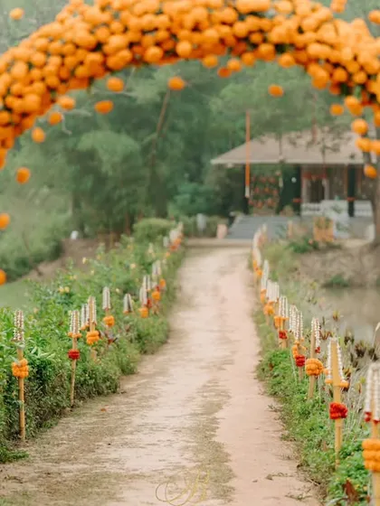 Embracing the vibrant spirit of Coorg, we created this joyful marigold arch to welcome guests. Set against the raw beauty of the landscape, the bright orange blooms created a stunning visual pathway, celebrating nature and tradition in equal measure.