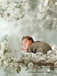 Newborn & Baby Photography