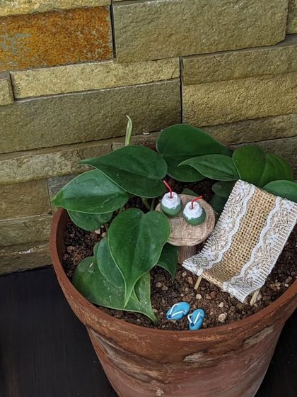 Another angle of the beach diorama, showing how it transforms a simple plant into a story.