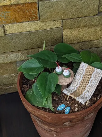 Another angle of the beach diorama, showing how it transforms a simple plant into a story.