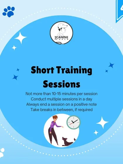 This graphic summarizes a key principle: keep training sessions short and positive. We recommend sessions of no more than 10 to 15 minutes. This prevents frustration for both you and your dog and makes learning much more effective.