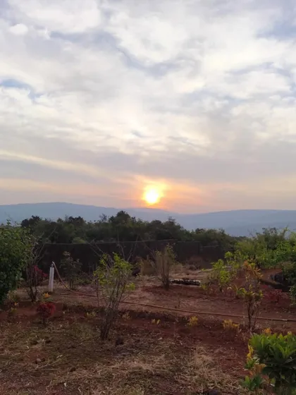 The soft light of dawn over the landscape at our Amboli ashram. The quiet and stillness of the early morning is the perfect time for meditation and pranayama.