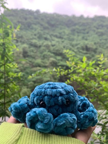 I love how this little guy looks out in nature. This amigurumi octopus is a great travel buddy.