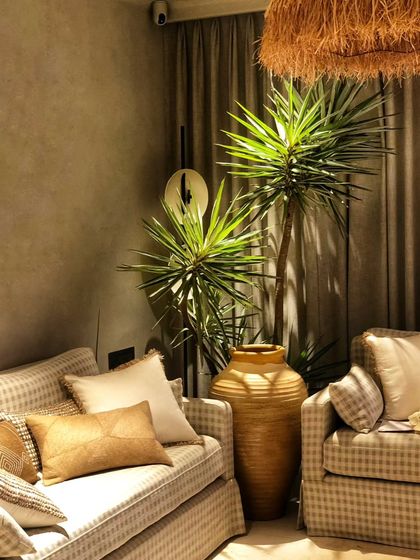 Signature Statement Plants photo 36