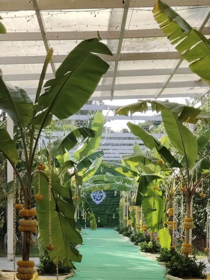 A unique and natural pathway created with banana trees, giving the entrance a lush, green, and authentically South Indian feel.