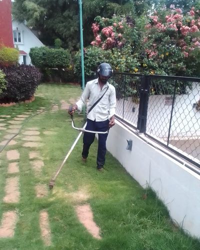 Garden Maintenance