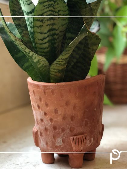 Sustainable Practices & Materials photo 15