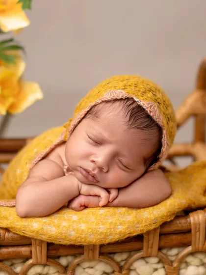 A close-up of our little honeybee, sleeping so peacefully. The yellow tones are so cheerful and bright.