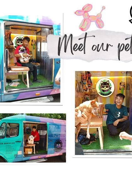 Pet Cartel - Mobile Pet Grooming Happy Tails: Customer Stories photo 13