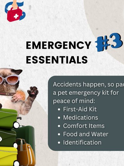 Traveling with your pet? Always pack an emergency kit for peace of mind. This graphic outlines the essentials, including a first-aid kit, medications, comfort items, and identification.