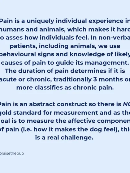 Assessing pain in a non-verbal animal is a real challenge. There is no single gold standard for measurement, which is why behavioral signs and a knowledge of likely causes are so important.