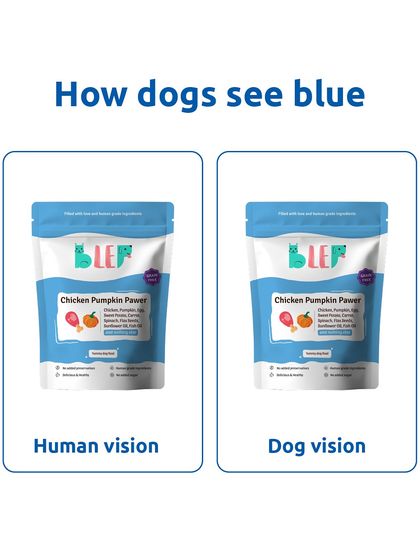 Blue is the other primary color in a dog's vision. This is why blue and yellow toys are often easiest for them to spot, especially in green grass.