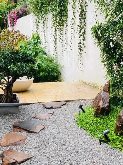 Attention to detail is key in our designs. This Zen-inspired corner combines a manicured bonsai, natural stone pavers on a gravel bed, and cascading wall plants to create a peaceful and meditative garden nook.