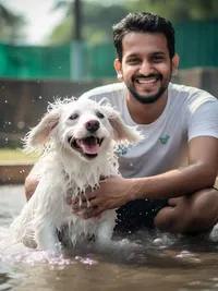 Dog Bathing
