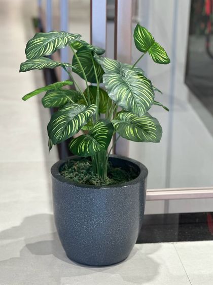 Greening Commercial & Office Spaces photo 26