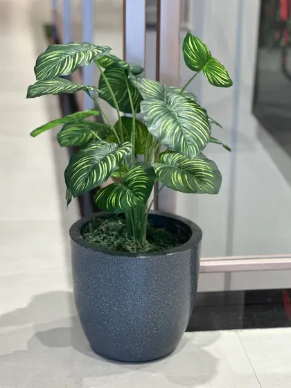 This artificial plant with beautifully patterned leaves is a great way to add visual interest to a simple corner in an office or store.