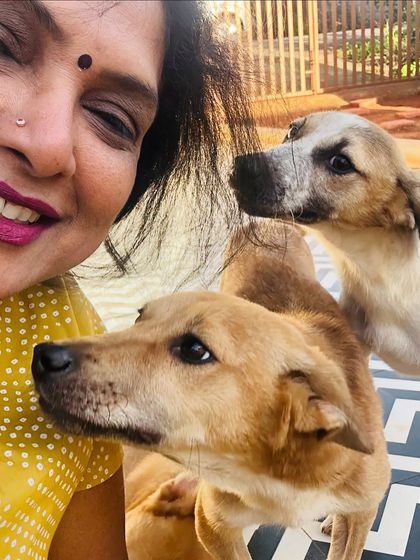 Star Pups - Pet Grooming Our Furry Friends & Family photo 35