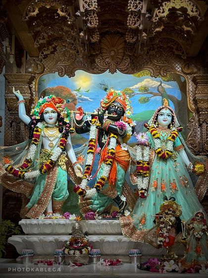 The Spirit of Celebration photo 25