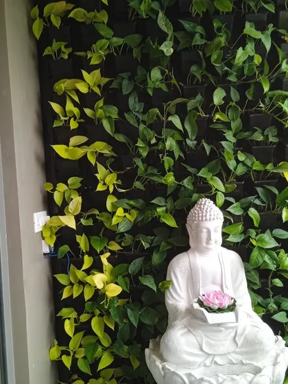 A close-up of a serene corner featuring a white Buddha statue against a backdrop of lush golden pothos. This type of custom vertical garden is perfect for creating a personal meditation spot or a peaceful nook in your home.