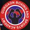 Gurgaon Boxing & Sports Academy