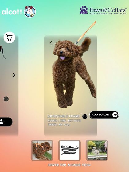 PawsnCollars - Pet Supplies Adventure & Walking Gear photo 11