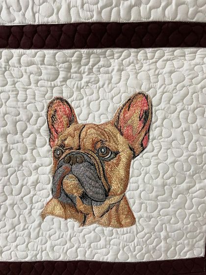 A close-up of the French Bulldog portrait.