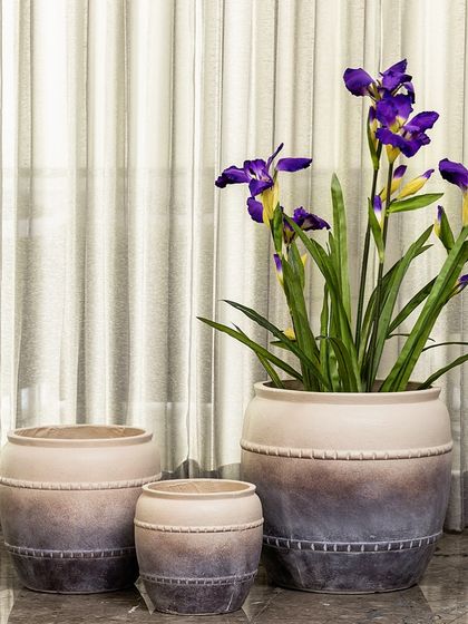 This set of three rustic planters features a beautiful ombre finish and a textured, rope-like detail. They are perfect for creating a cohesive, earthy look with different-sized plants.