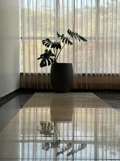 A beautiful Monstera plant in a dark, textured pot, its reflection creating a mirror image on the floor. This perfectly symmetrical scene is a testament to our belief in creating balanced and harmonious spaces.